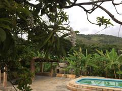 Rodriguezia bracteata