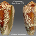 Conus pennaceus - Photo (c) Almed2, algunos derechos reservados (CC BY-SA)