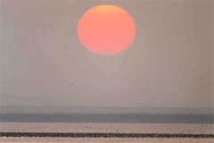 Sibirionetta formosa