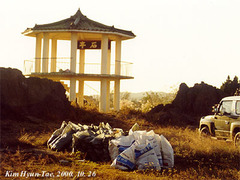 Sibirionetta formosa