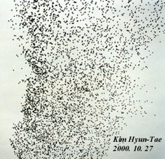 Sibirionetta formosa