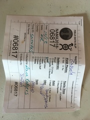 Russula pseudotsugarum