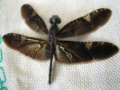 Rhyothemis obsolescens