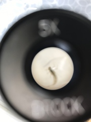 Paracloeodes minutus