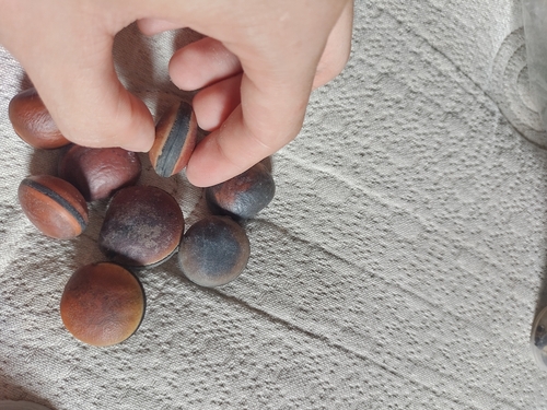 Image of Mucuna urens by (c) Luan Mazzeo, some rights reserved (CC BY)