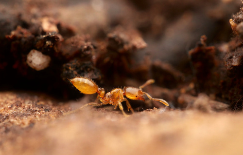 no rights reserved, uploaded by Philipp Hoenle
