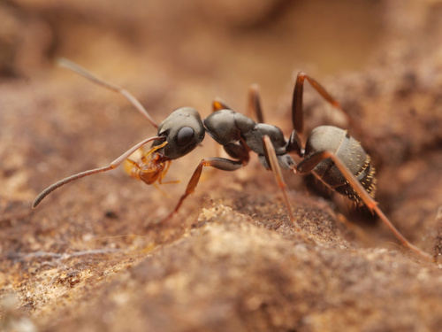 no rights reserved, uploaded by Philipp Hoenle