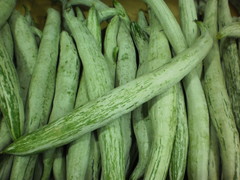 Trichosanthes cucumerina