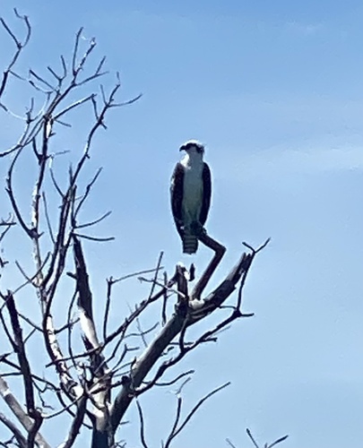 Cayo Mégano Chico
