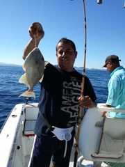 Pseudobalistes naufragium