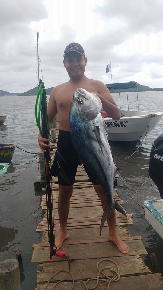 Roosterfish