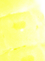 Garriscaphus tytthus