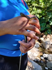 Montserrat Racer photo 5