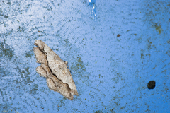 Rikiosatoa