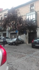 Prunus cerasifera pissardii