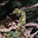 Observation photo