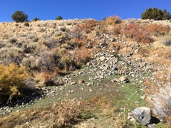 Fluminicola virginius