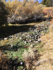 Fluminicola virginius