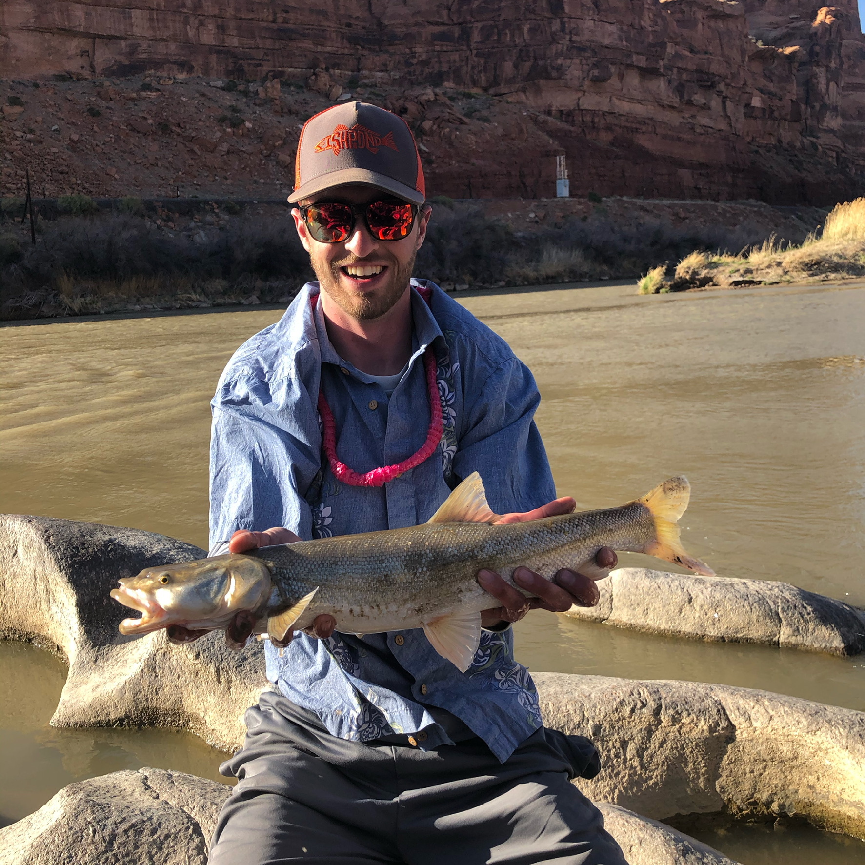 Colorado Pikeminnow photo 6