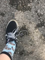 Pareas margaritophorus