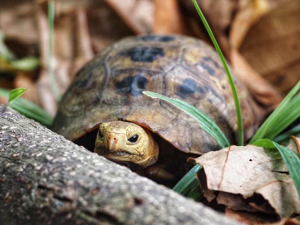 Photo by Yingyod Lapwong