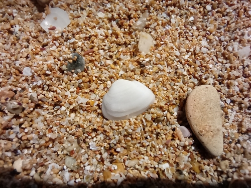 Milky Ark, Cas Pagés, Palma, Islas Baleares, Spain, photo 7 of 10