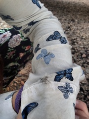 Dasymutilla gloriosa