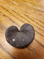 Enterolobium cyclocarpum