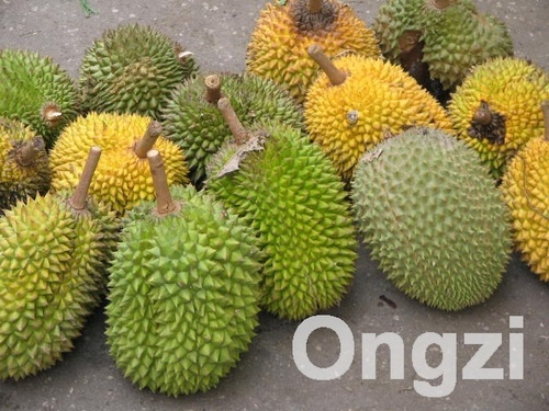 Durio zibethinus