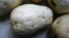 Syzygium samarangense