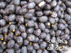 Canarium odontophyllum