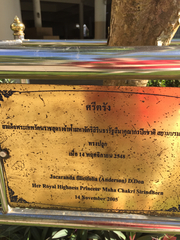 Jacaranda mimosifolia