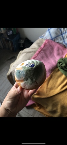 Bolor-azul (Penicillium italicum)