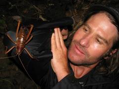 Deinacrida heteracantha