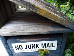 Chrysothrix xanthina