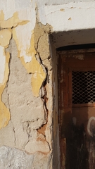 Mediodactylus kotschyi