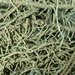 Usnea fulvoreagens - Photo (c) André Aptroot, some rights reserved (CC BY-NC-SA)