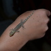 Seychelles Surprise Gecko - Photo (c) joel, some rights reserved (CC BY-NC), uploaded by joel