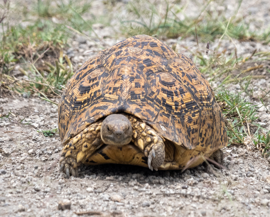 Photo by Blythe Nilson