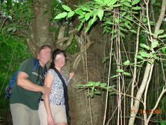 Dendrocereus nudiflorus