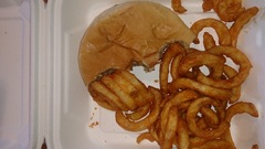 Saccharomyces cerevisiae