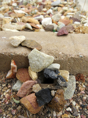 Harpactirella lightfooti