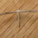 Dowdy Plume Moth - Photo (c) Donald Hobern, some rights reserved (CC BY)