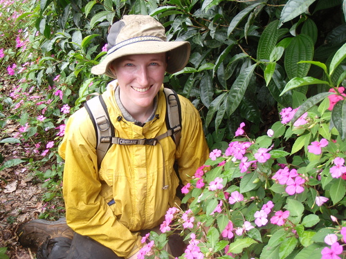 Impatiens walleriana