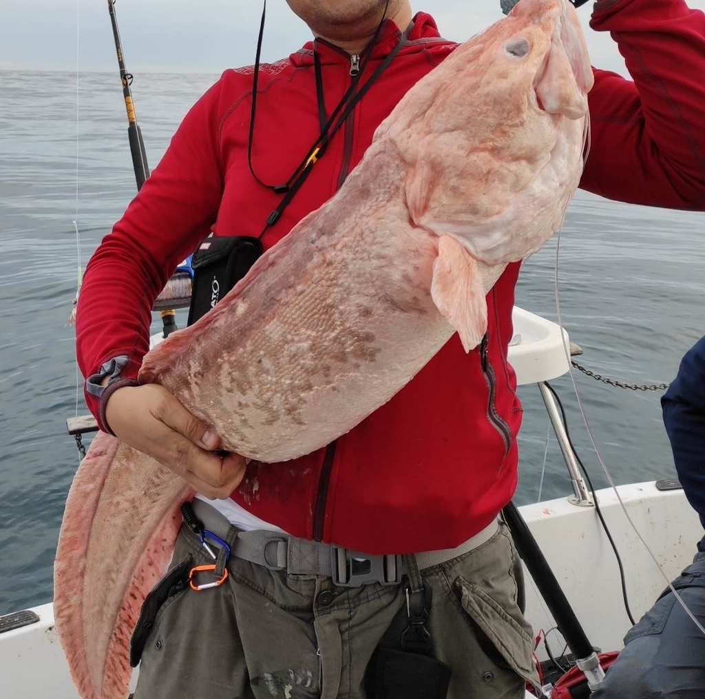 Pink Ling from Christchurch including Banks Peninsula, NZ-CA, NZ on May ...