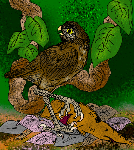 Ornimegalonyx