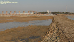 Sibirionetta formosa