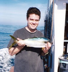 Seriola lalandi