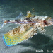Flying Gurnard - Photo (c) Frédéric ANDRE, some rights reserved (CC BY-NC), uploaded by Frédéric ANDRE