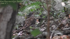 Gloydius ussuriensis